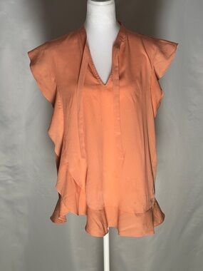 Banana Republic Peach Ruffle V-Neck Blouse